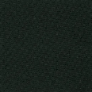 Duck Canvas by James Thompson in Hunter Green
