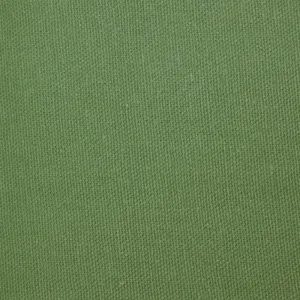 Duck Canvas by James Thompson in John Deere Green